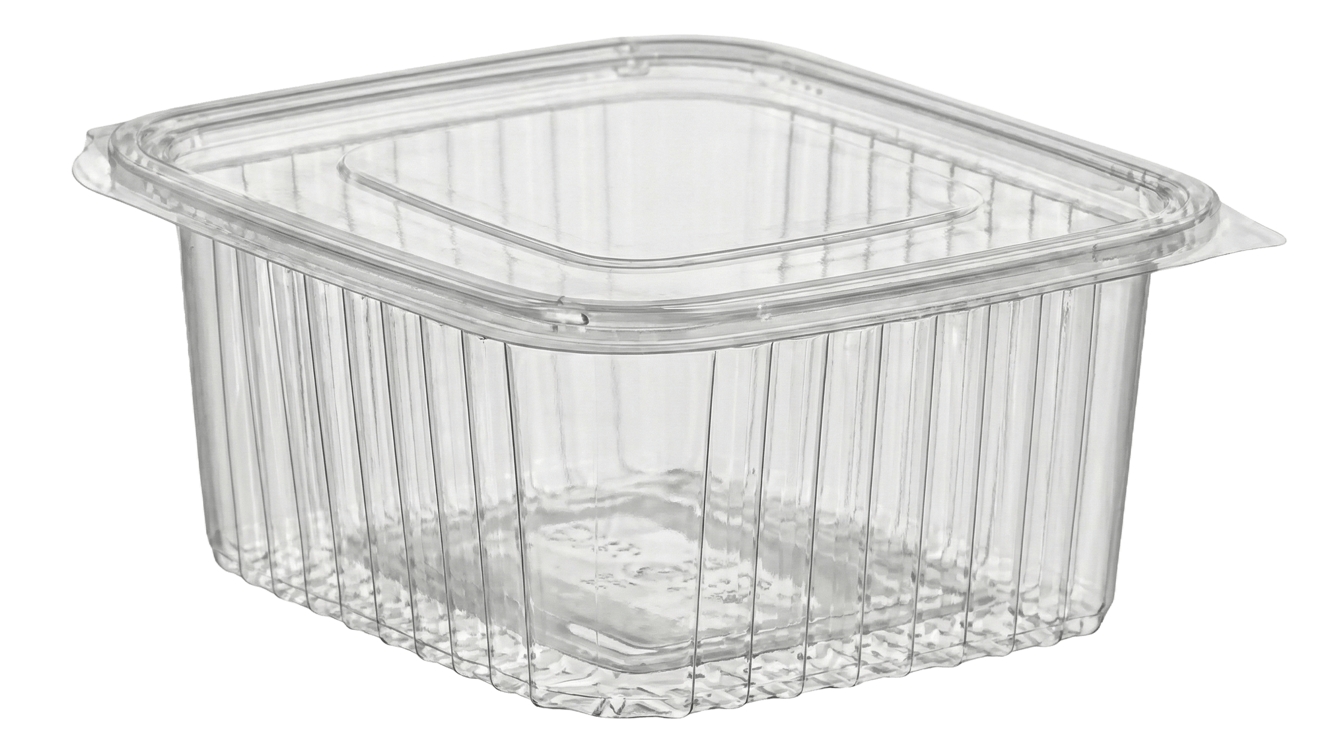 BARQUETTE PET 500 10PCS